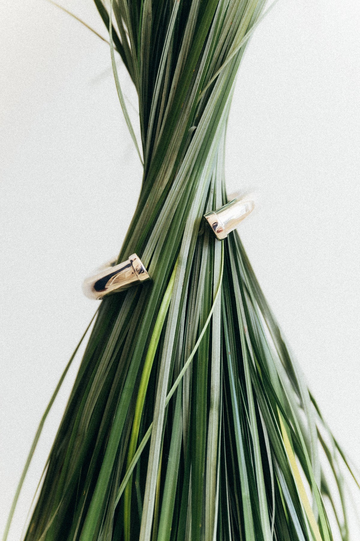 Stylish anniversary jewelry for women displayed among green leaves.