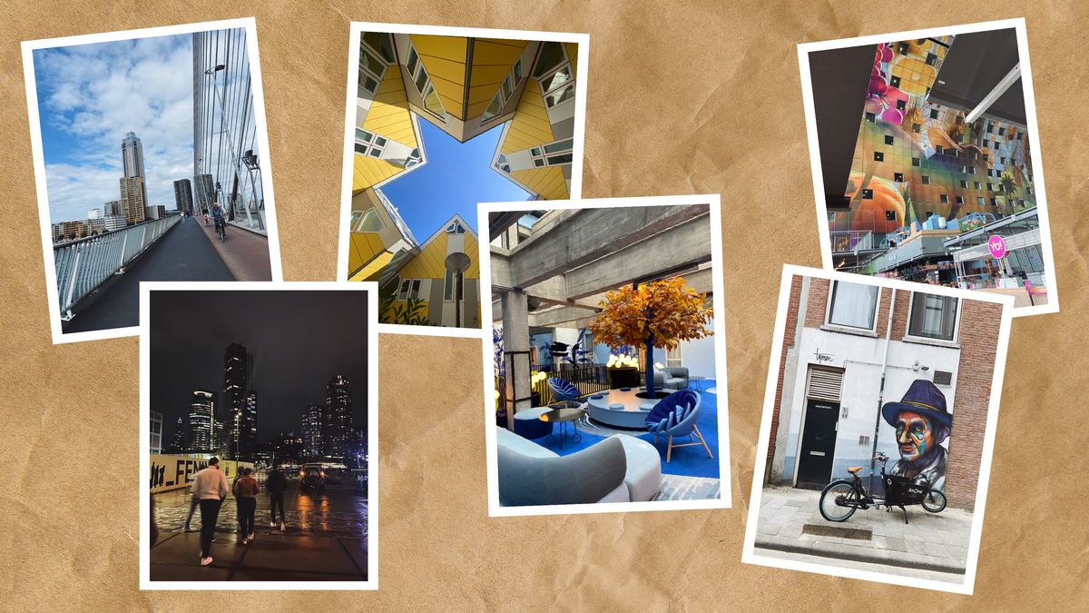 Exploring modern rotterdam culture and architecture through cityscapes, unique buildings, and vibrant street art.