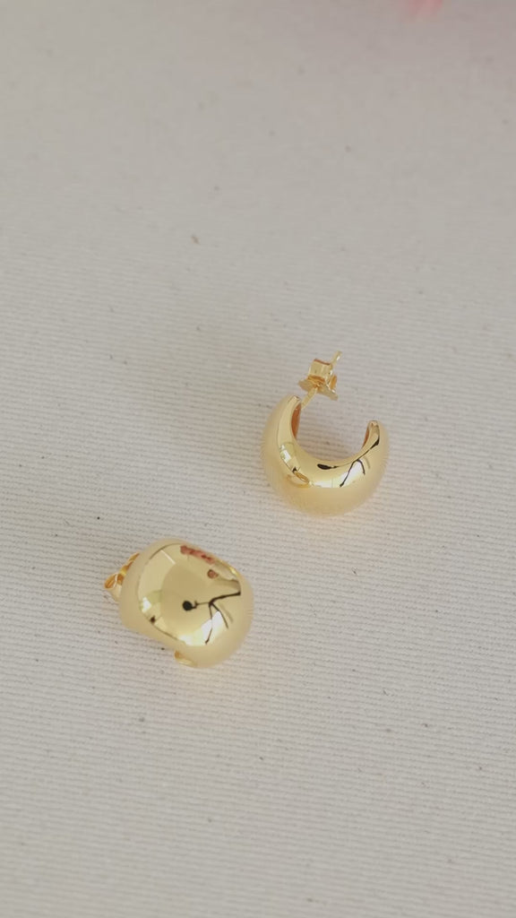 Gina earrings Earrings