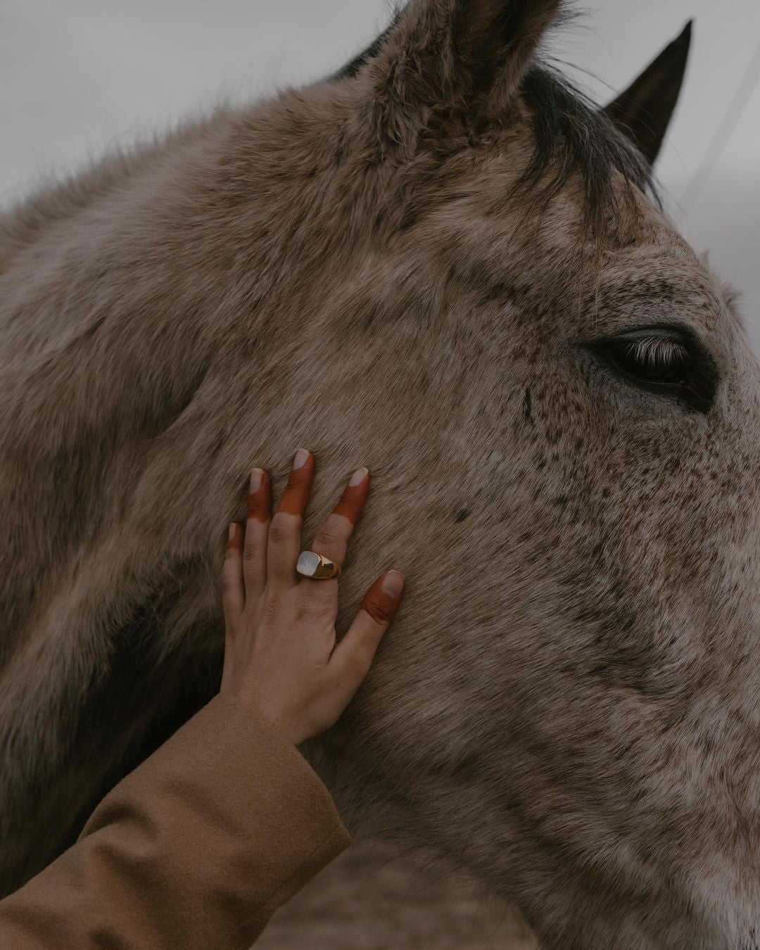 Zahraomarji olsen ring